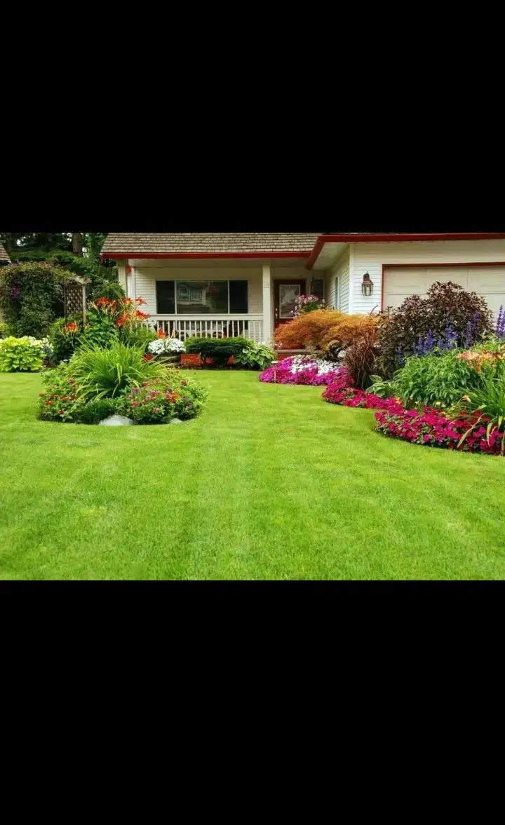 نیازمند یه خانم برای آشپزی برای مادر سالم|استخدام سرایداری و نظافت|شیراز, قصرالدشت|دیوار