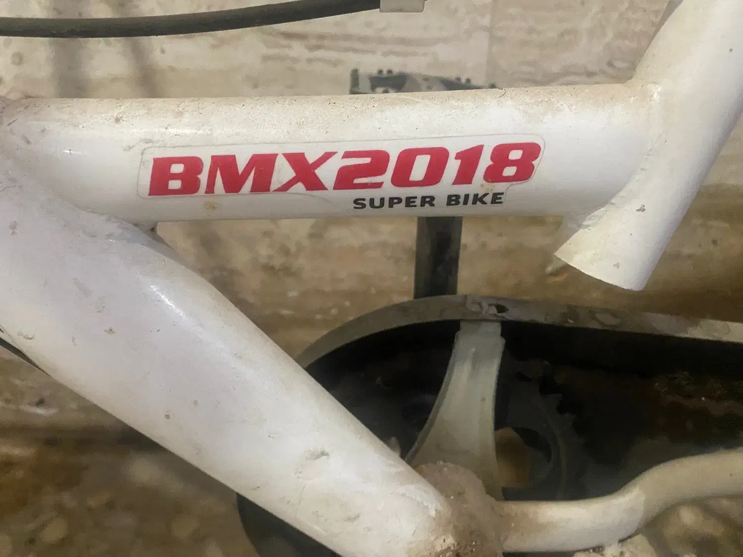 دوچرخه REDFOX 2018|دوچرخه، اسکیت، اسکوتر|برازجان, |دیوار