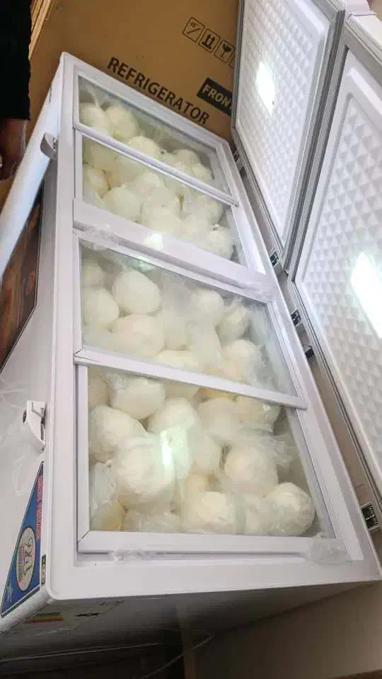 کره گاوداری|عمدهفروشی|کارون, |دیوار