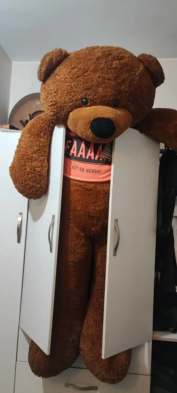 خرس|اسباب‌‌بازی|تهران, درب دوم|دیوار