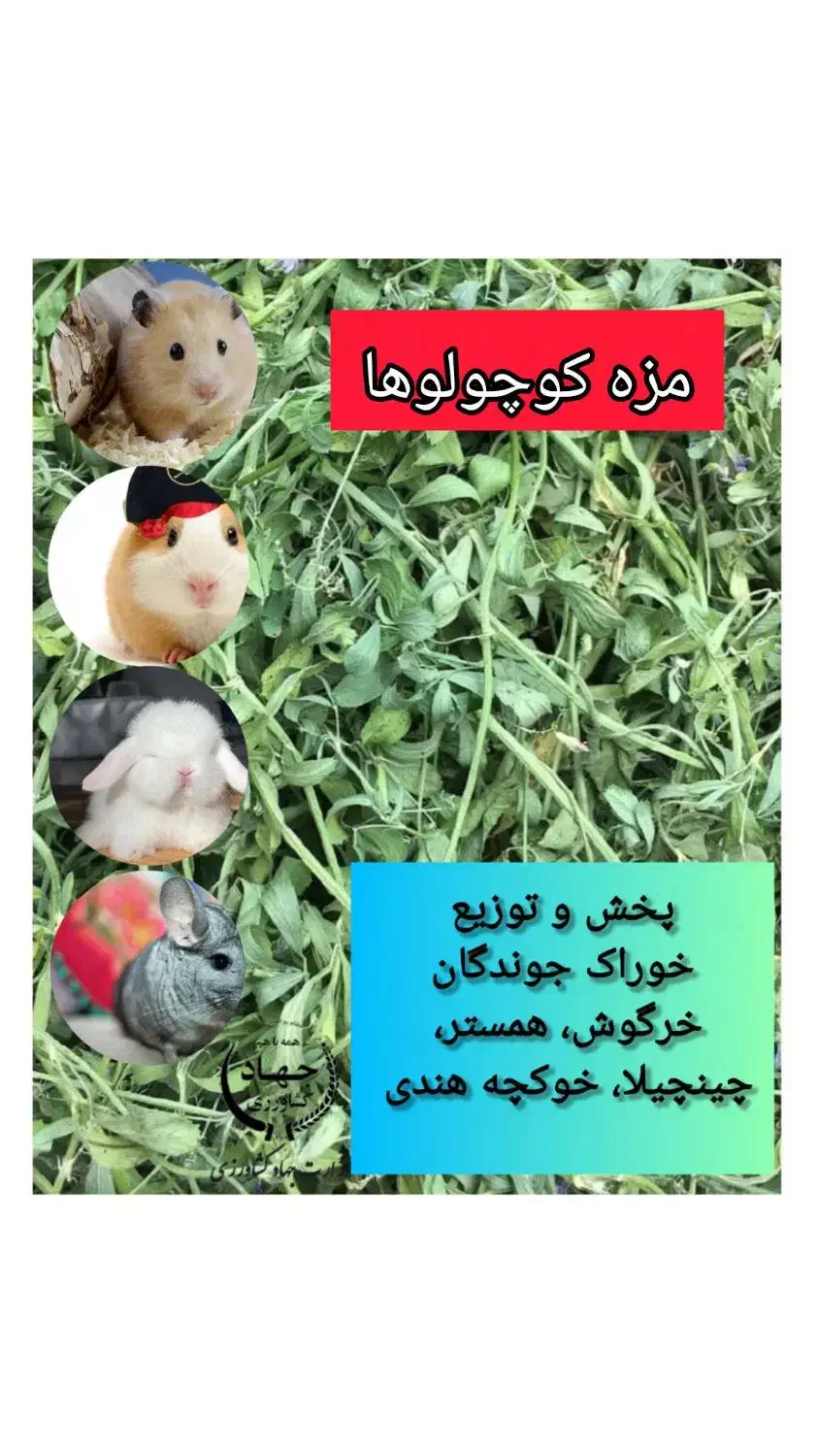 یونجه پرس شده و ریز شده موجود است|لوازم جانبی حیوانات|قائم‌شهر, |دیوار