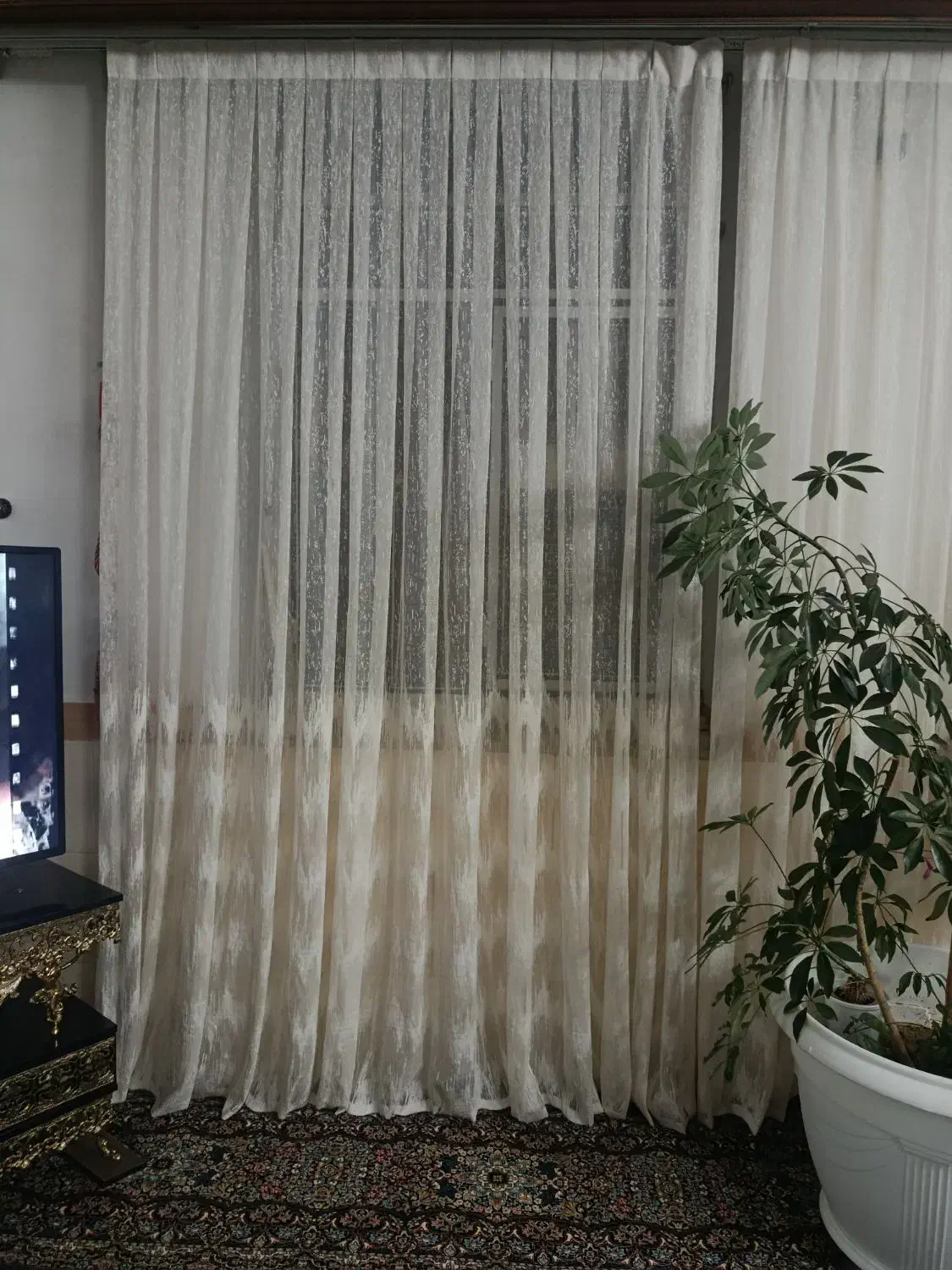 پرده نو|پرده، رانر، رومیزی|زنجان, |دیوار