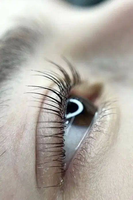 مژه|خدمات آرایشگری و زیبایی|تهران, شهرری|دیوار