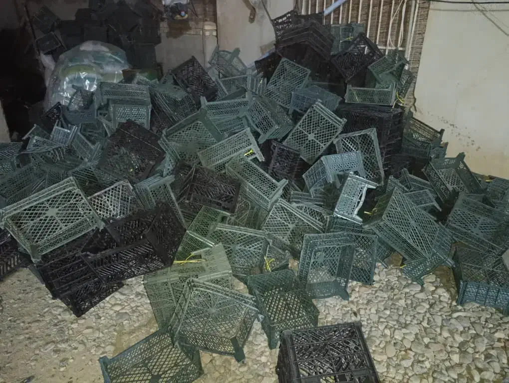 سبد نو فروشی|ظروف نگهدارنده، پلاستیکی، یک‌بارمصرف|آق قلا, |دیوار