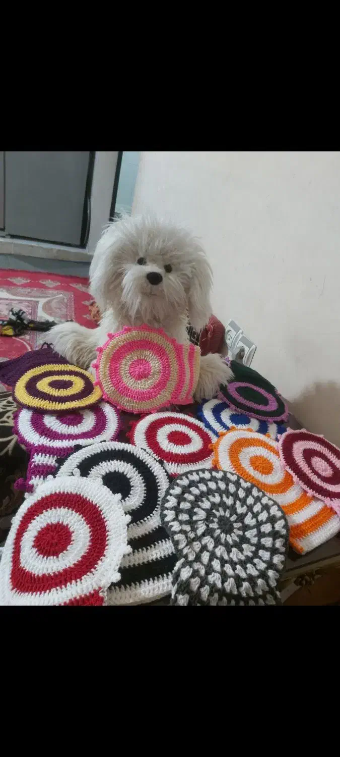 لیف|لوازم حمام|بندرعباس, |دیوار