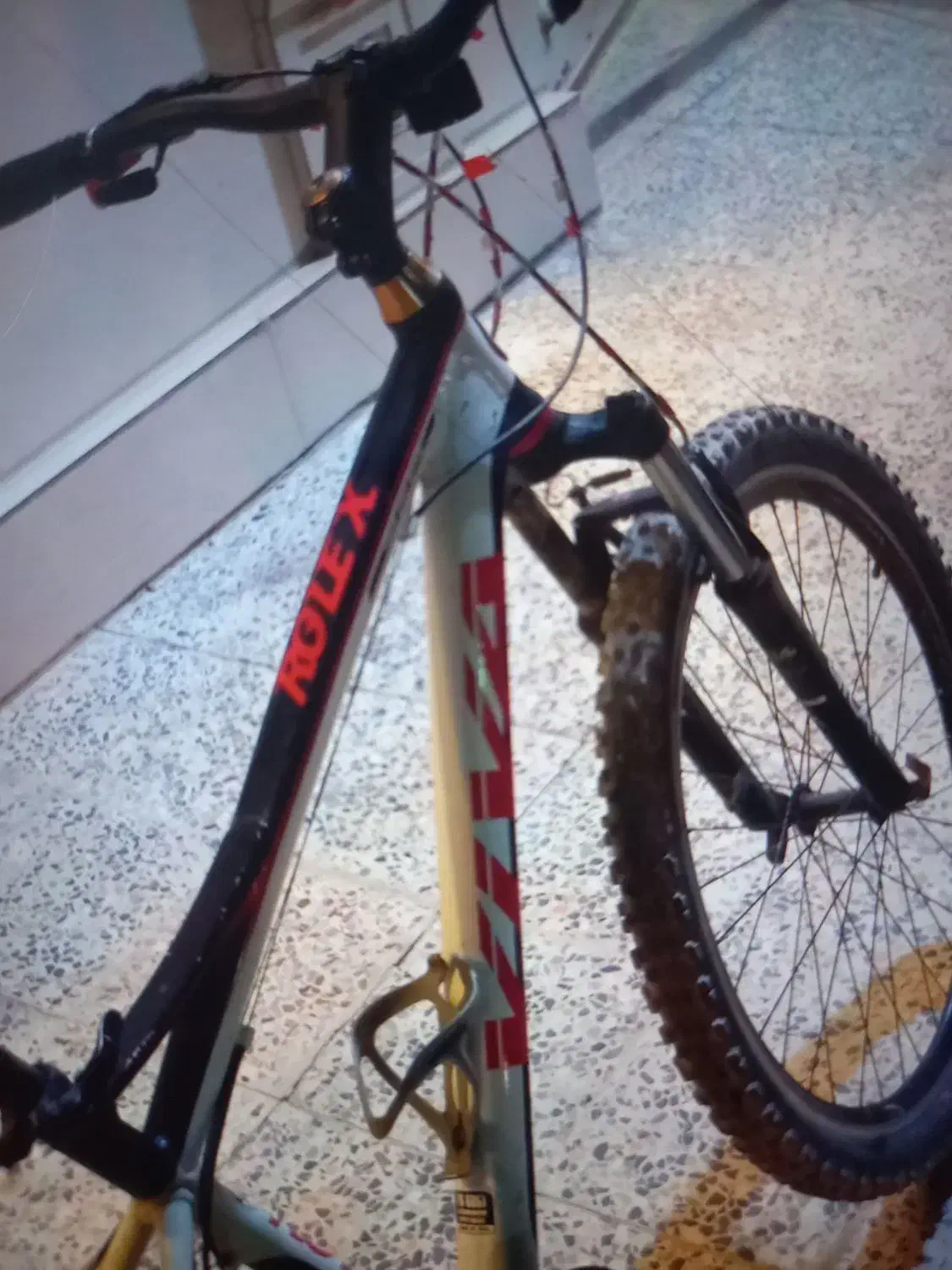 دوچرخه ویوا ۲۶|دوچرخه، اسکیت، اسکوتر|شوش, |دیوار