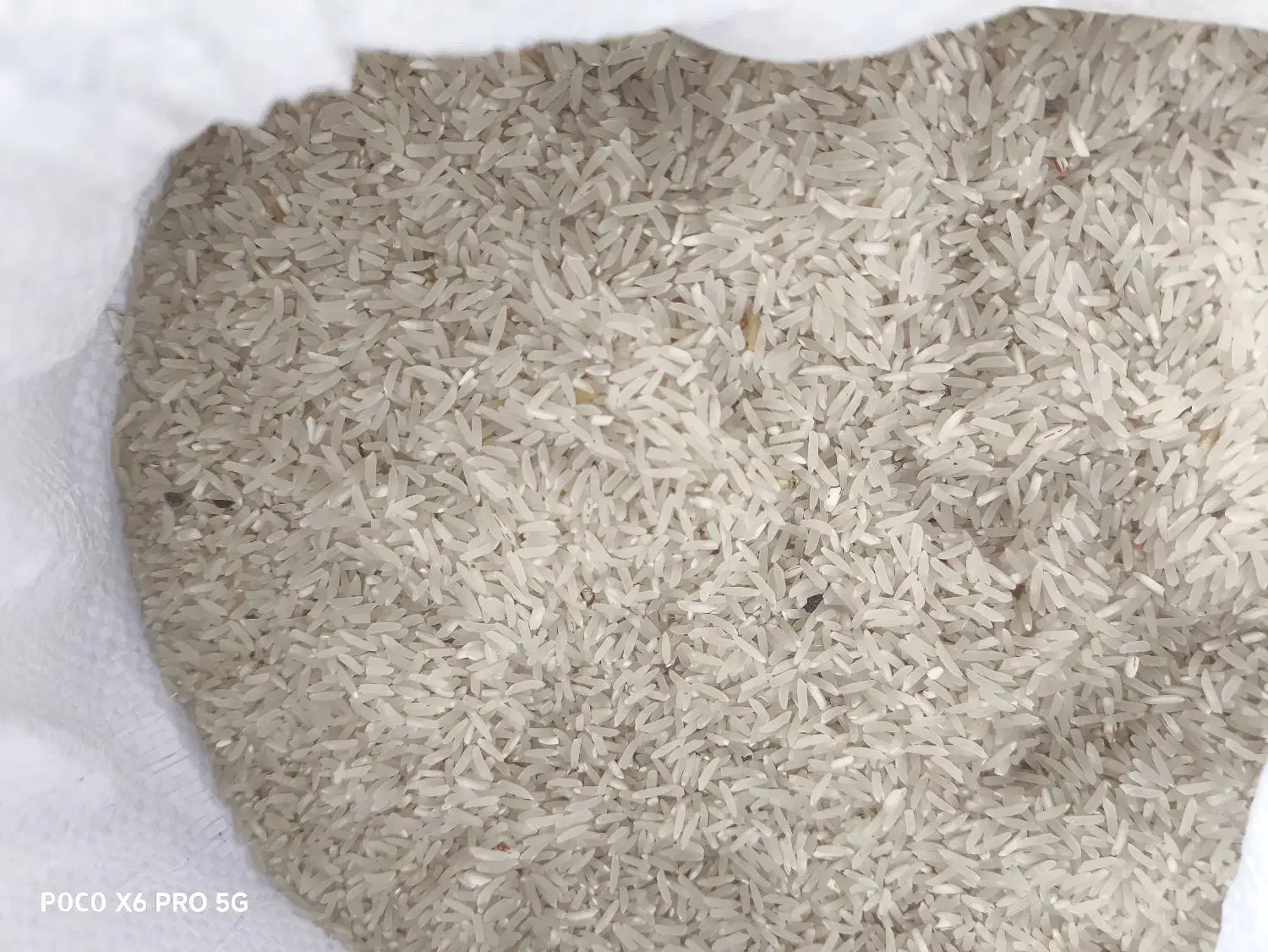 برنج|خوردنی و آشامیدنی|مزرعه کتول, |دیوار