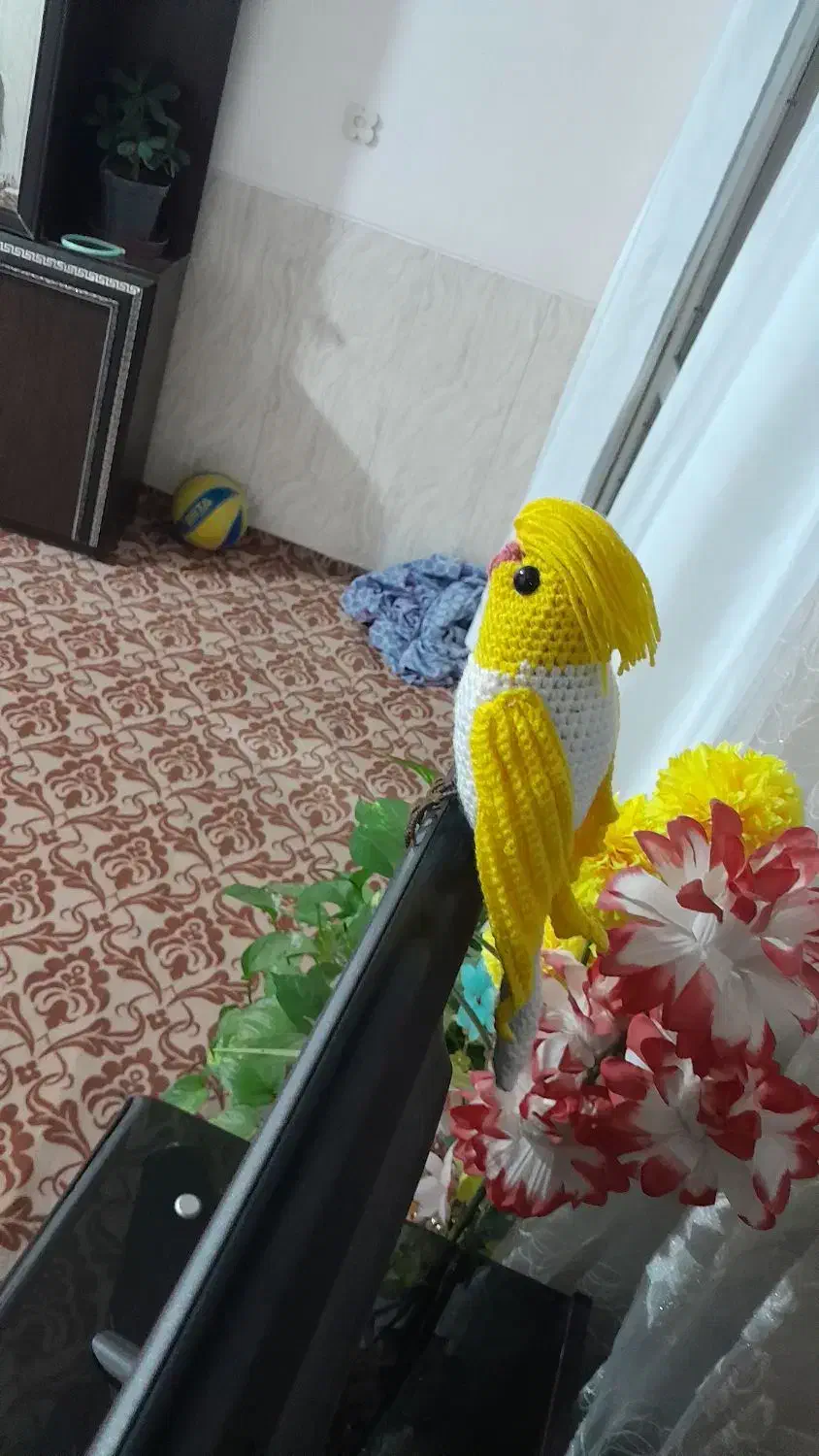 طوطی|صنایع دستی و سایر لوازم تزئینی|اصفهان, شهرک امام خمینی|دیوار