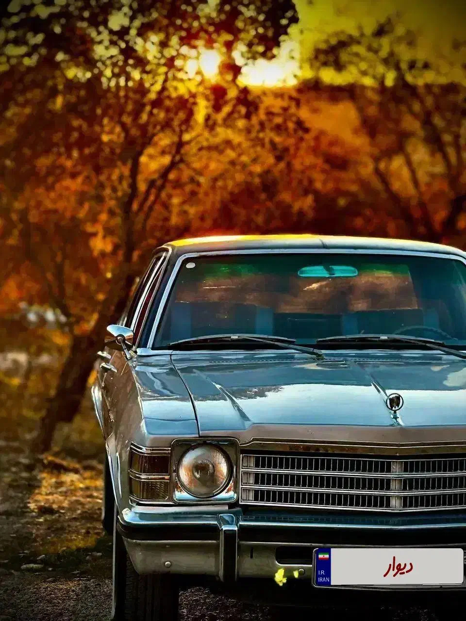 بیوک b3|خودرو کلاسیک|تهران, استاد معین|دیوار