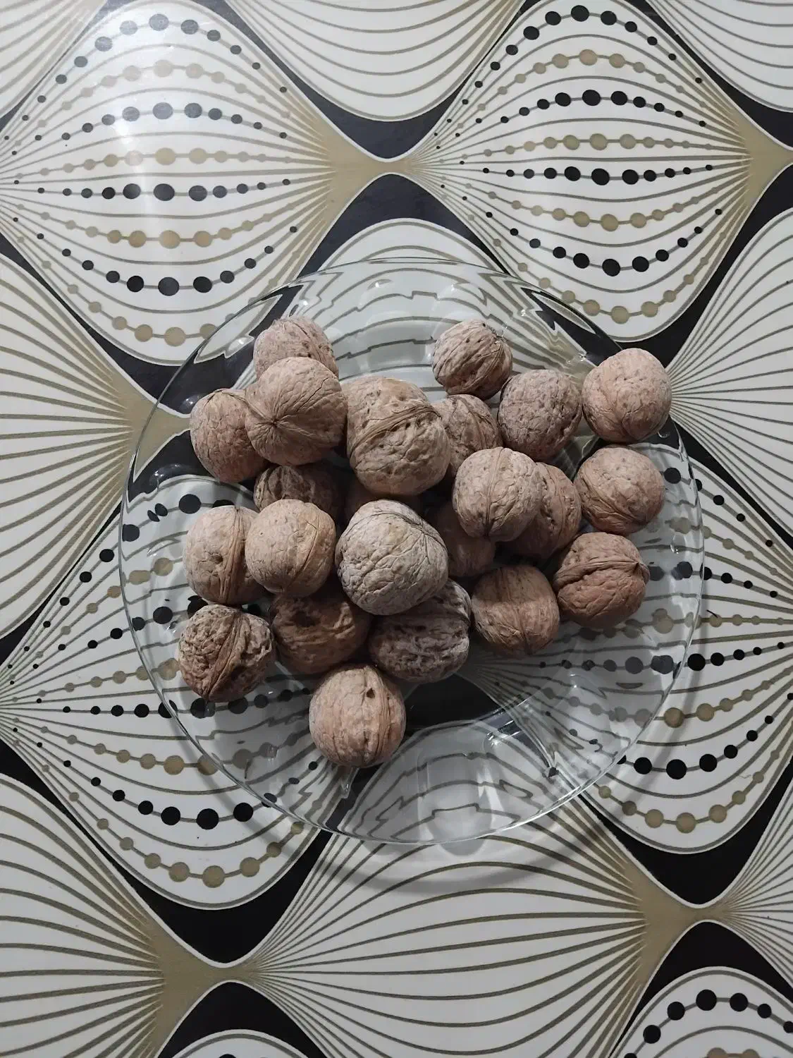 گردو فروشی قیمت توافقی|خوردنی و آشامیدنی|قره چای, |دیوار