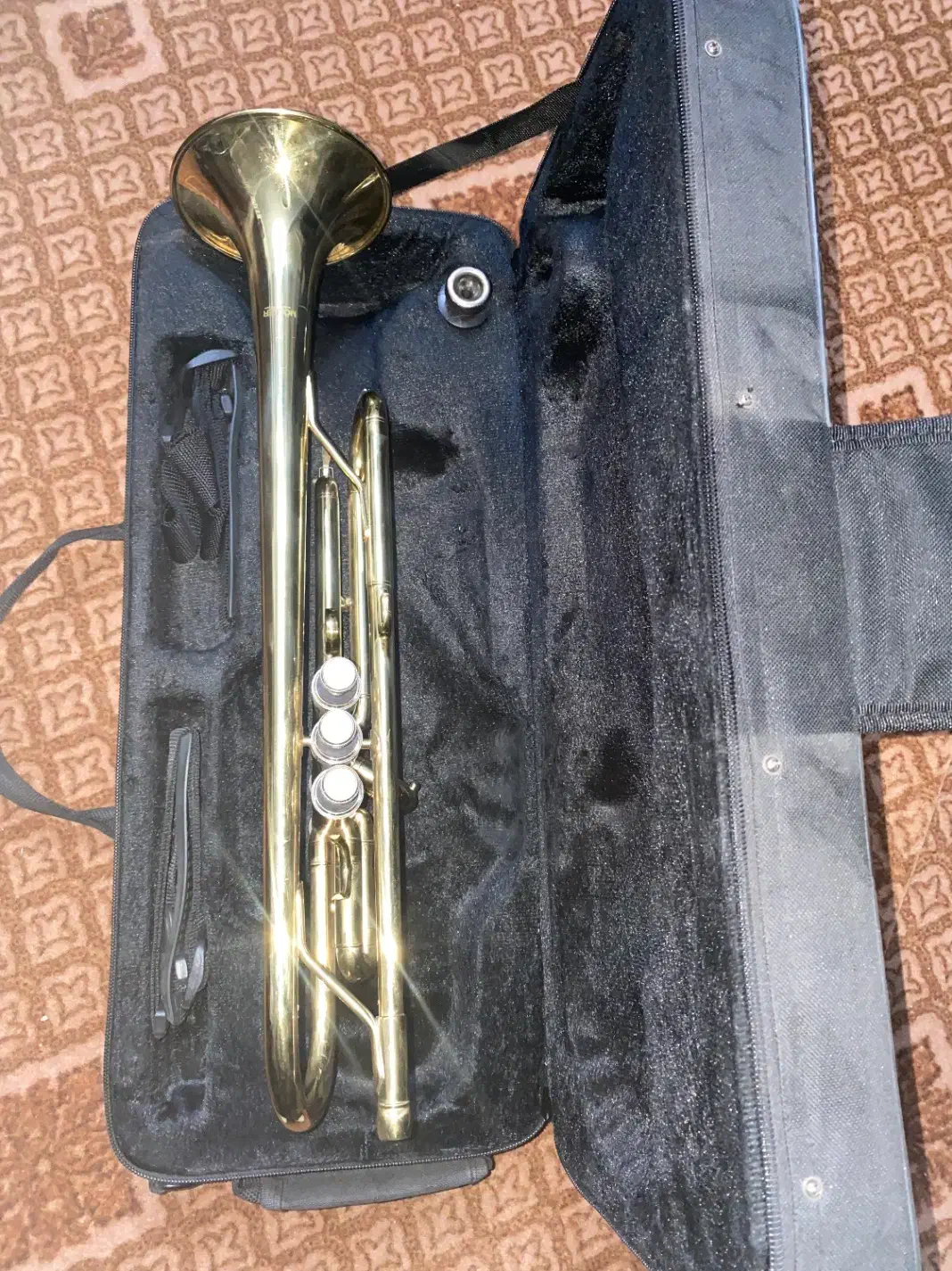 ساز ترومپت|سازهای بادی|کاشان, باغ گیاهشناسی کاشان|دیوار