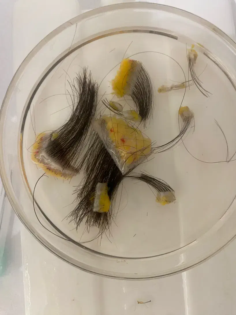 اموزش کات ابرو و‌رود به دنیای حرفه ای کاشت ابرو|خدمات آموزشی|تهران, هروی|دیوار