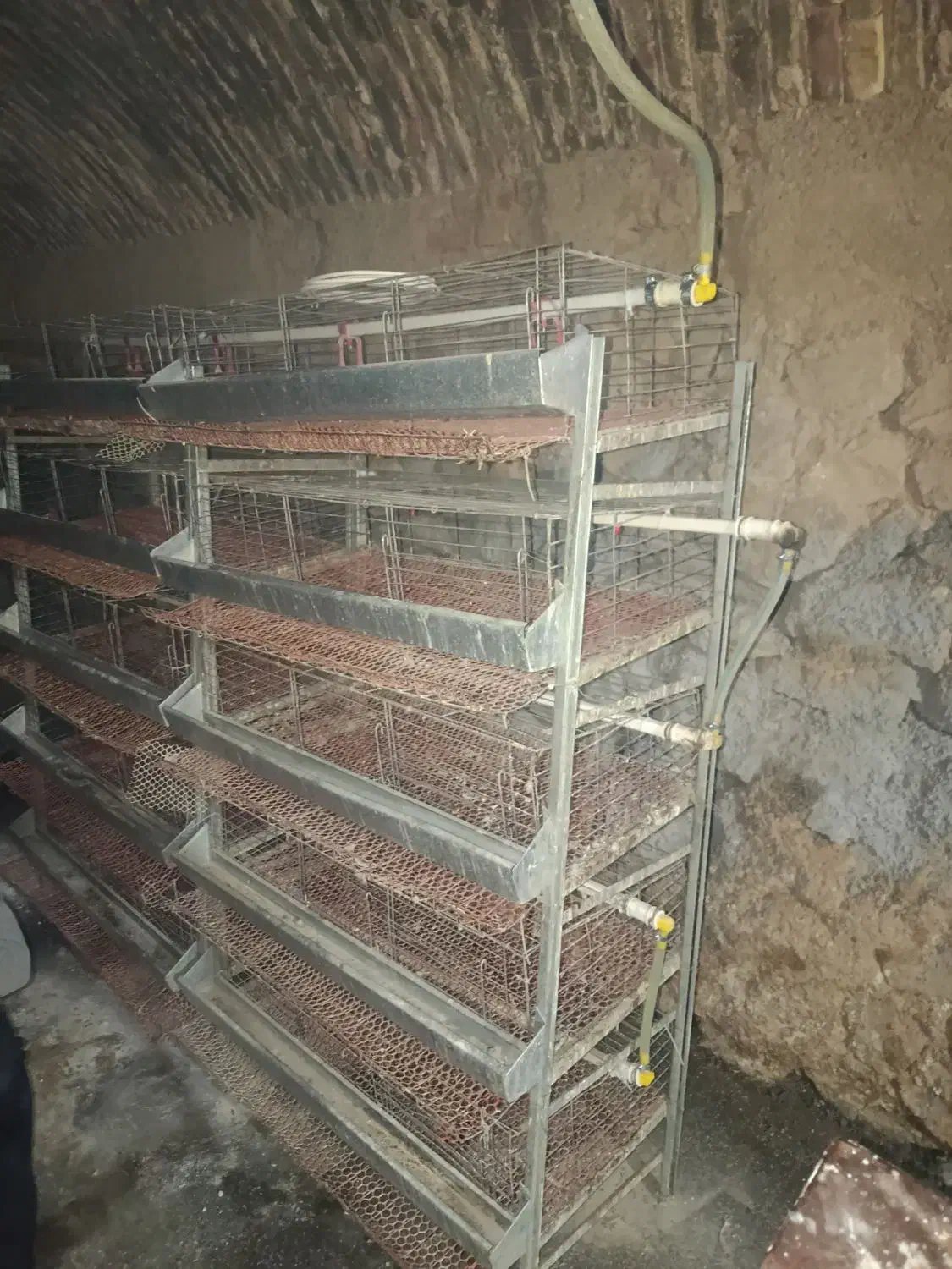 قفس|لوازم جانبی حیوانات|گناباد, |دیوار