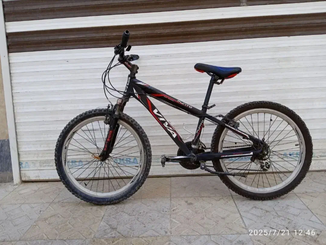 دوچرخه ویوا حرفه‌ی ۲۴|دوچرخه، اسکیت، اسکوتر|اردبیل, |دیوار