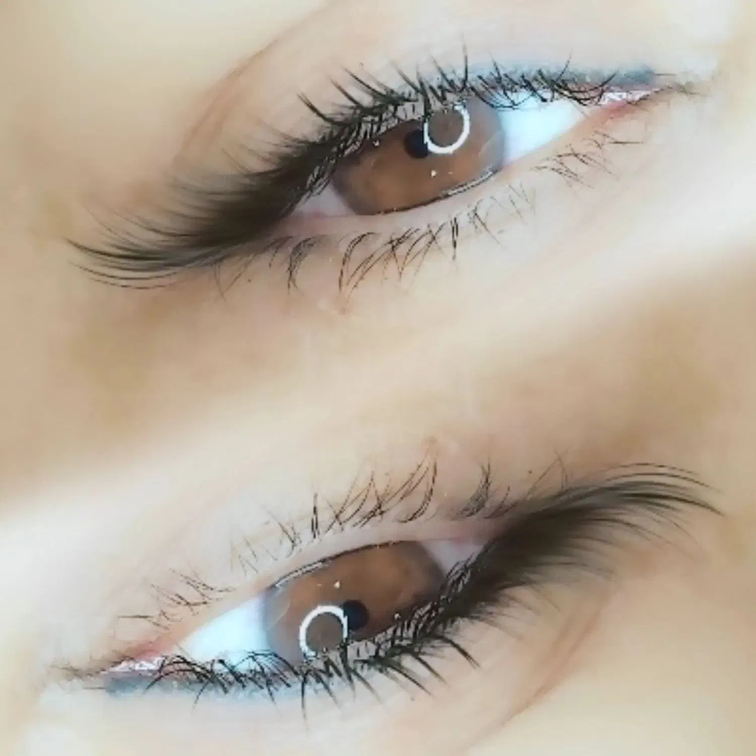 تخفیف اکستنشن مژه ،کاشت مژه،لیفت ابرو|خدمات آرایشگری و زیبایی|تهران, درختی|دیوار