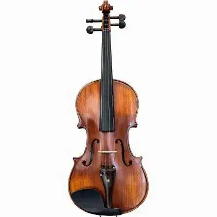 ویولن mv146|ویولن|ایلام, |دیوار