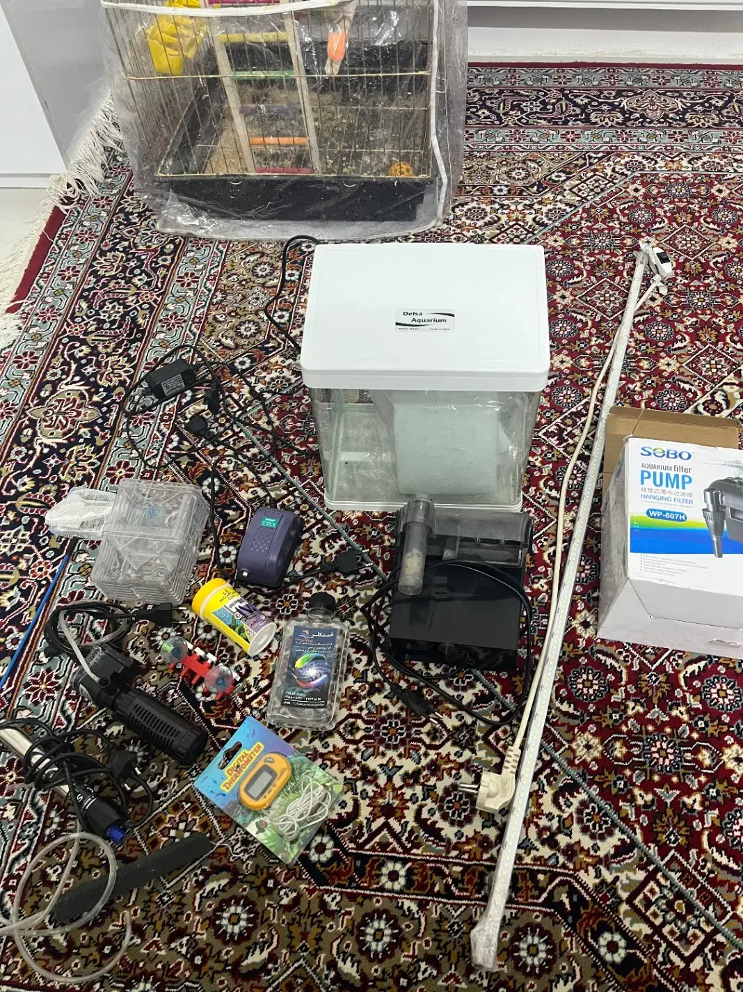 اکواریوم کوچک و بزرگ با لوازم|ماهی|مشهد, امیریه|دیوار