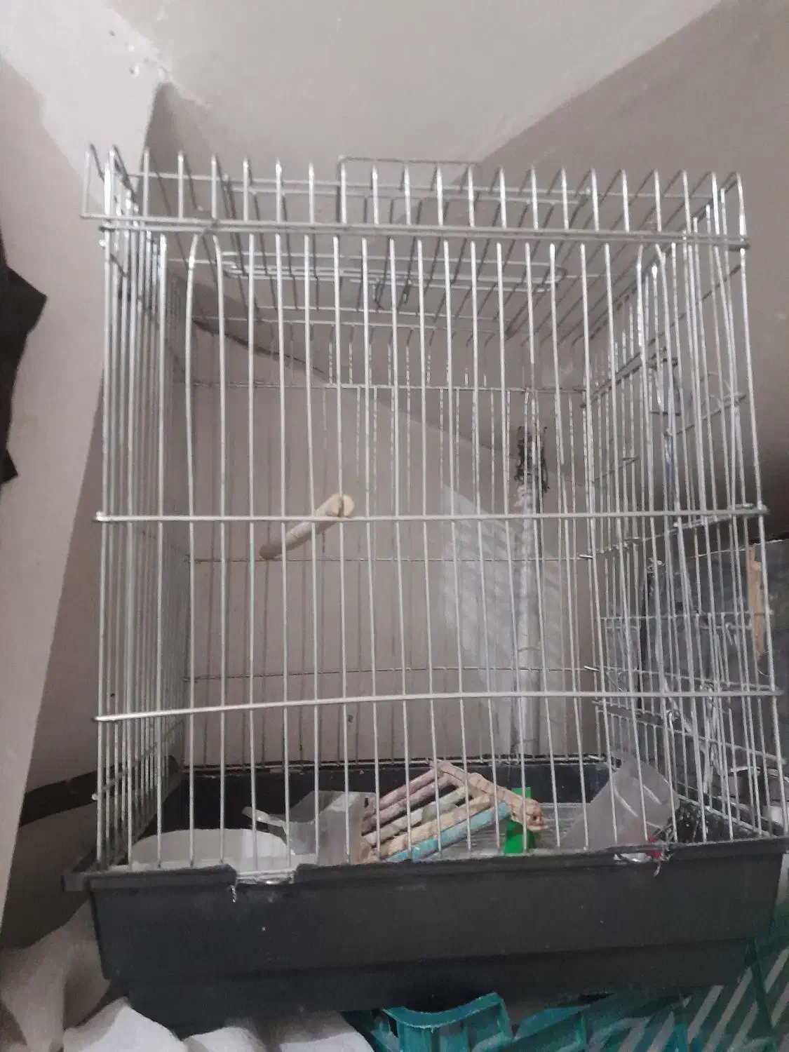 قفس|لوازم جانبی حیوانات|خمینیشهر, |دیوار