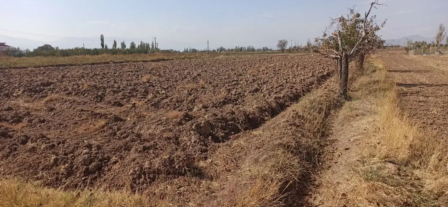 فروش زمین|فروش زمین و ملک کلنگی|یامچی, |دیوار