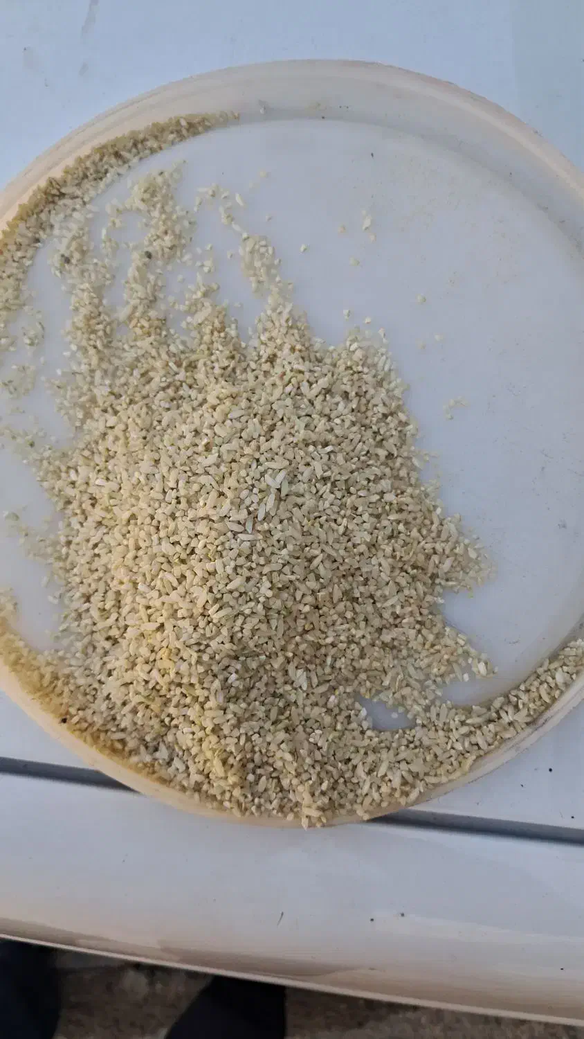 خورده برنج درجه یک|خوردنی و آشامیدنی|فلارد, |دیوار