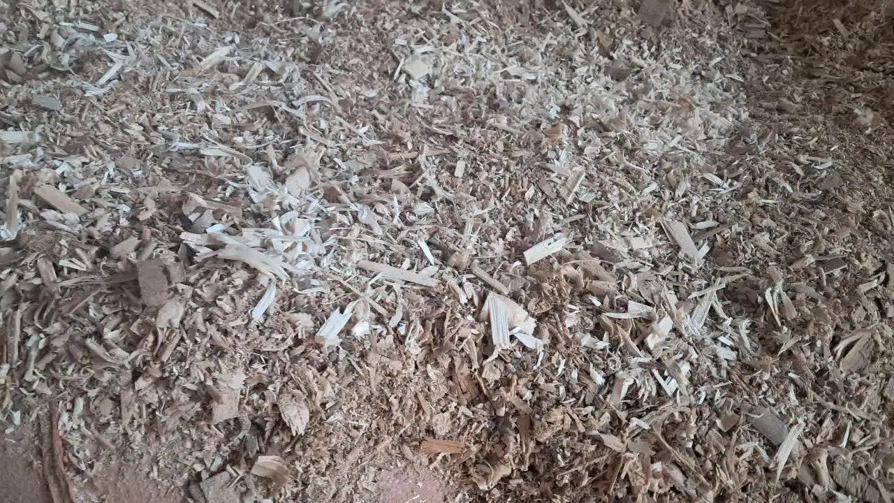 خاک اره وپوشال|عمده‌فروشی|خمینی‌شهر, |دیوار