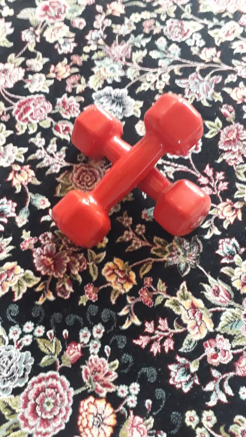 دمبل یک ونیم کیلوگرم|تجهیزات ورزشی|قروه, |دیوار