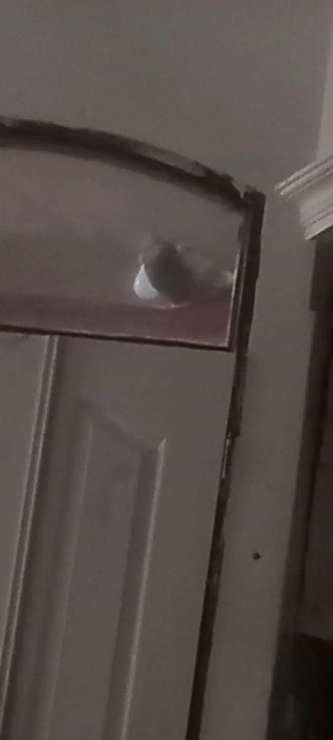 خرگوش|موش و خرگوش|قوچان, |دیوار