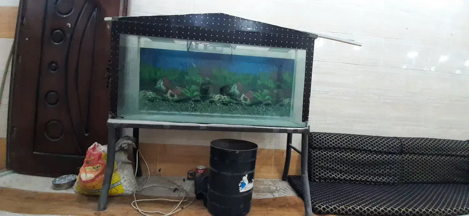 آکواریوم شیشه ۱۰ میل|ماهی|اهواز, ملاشیه|دیوار