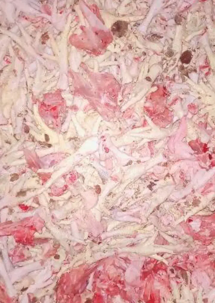 اشغال گوشت غذای سگ|لوازم جانبی حیوانات|رضویه, |دیوار