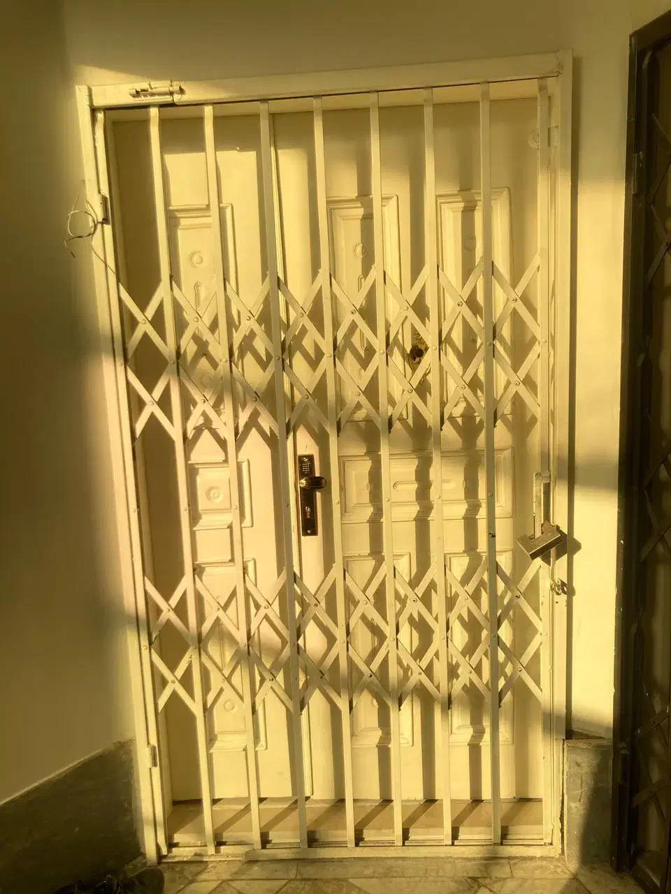 آکاردوئونی محافظ ضد سرقت|مصالح و تجهیزات ساختمان|تهران, باشگاه نفت|دیوار