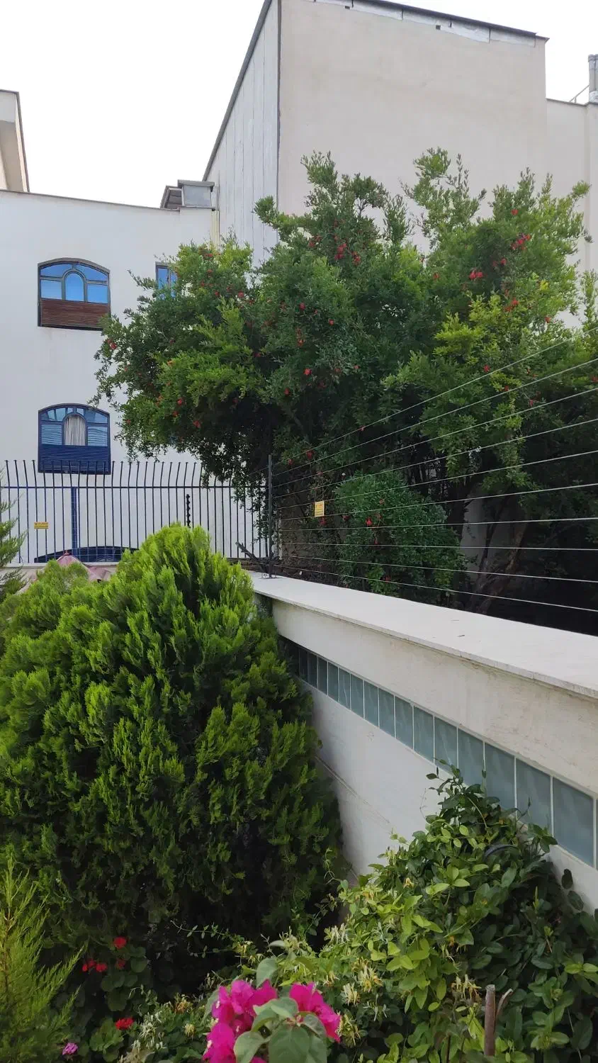 فنس الکتریکی(حفاظ شوکدار)|مصالح و تجهیزات ساختمان|بندر گناوه, |دیوار