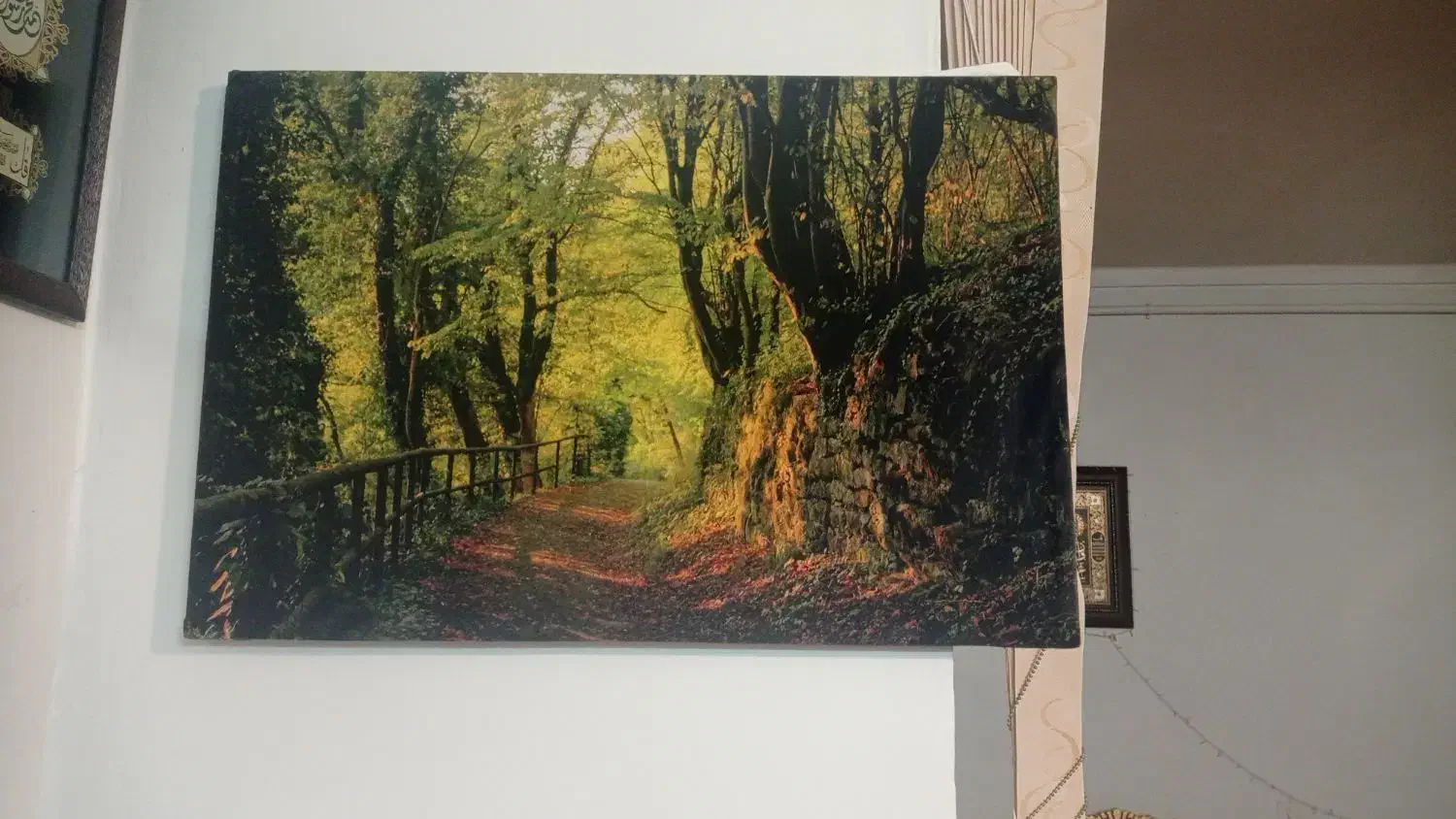 دو عدد قاب|تابلو، نقاشی، عکس|فسا, |دیوار