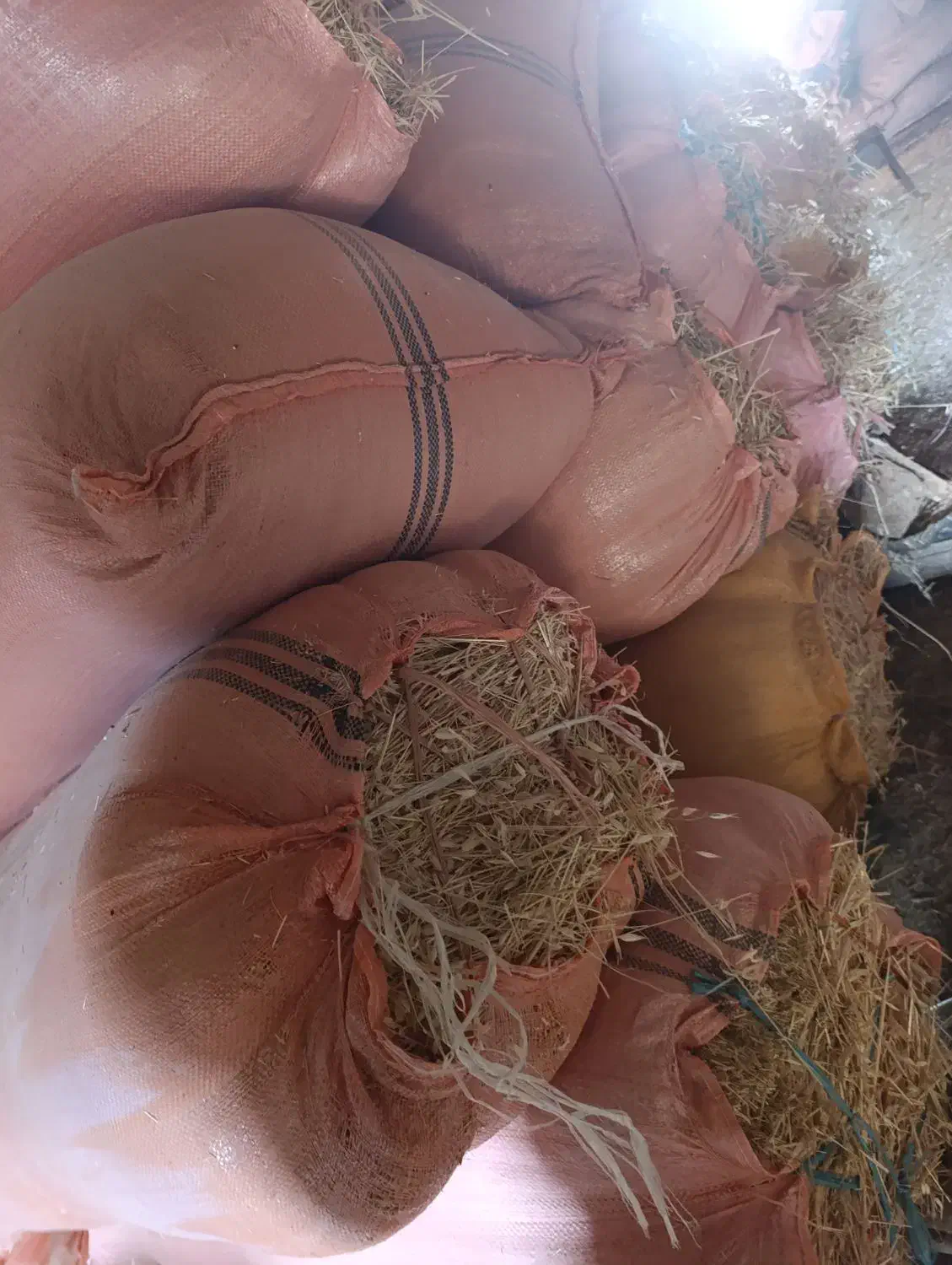 کاه جو|لوازم جانبی حیوانات|هندمینی, |دیوار