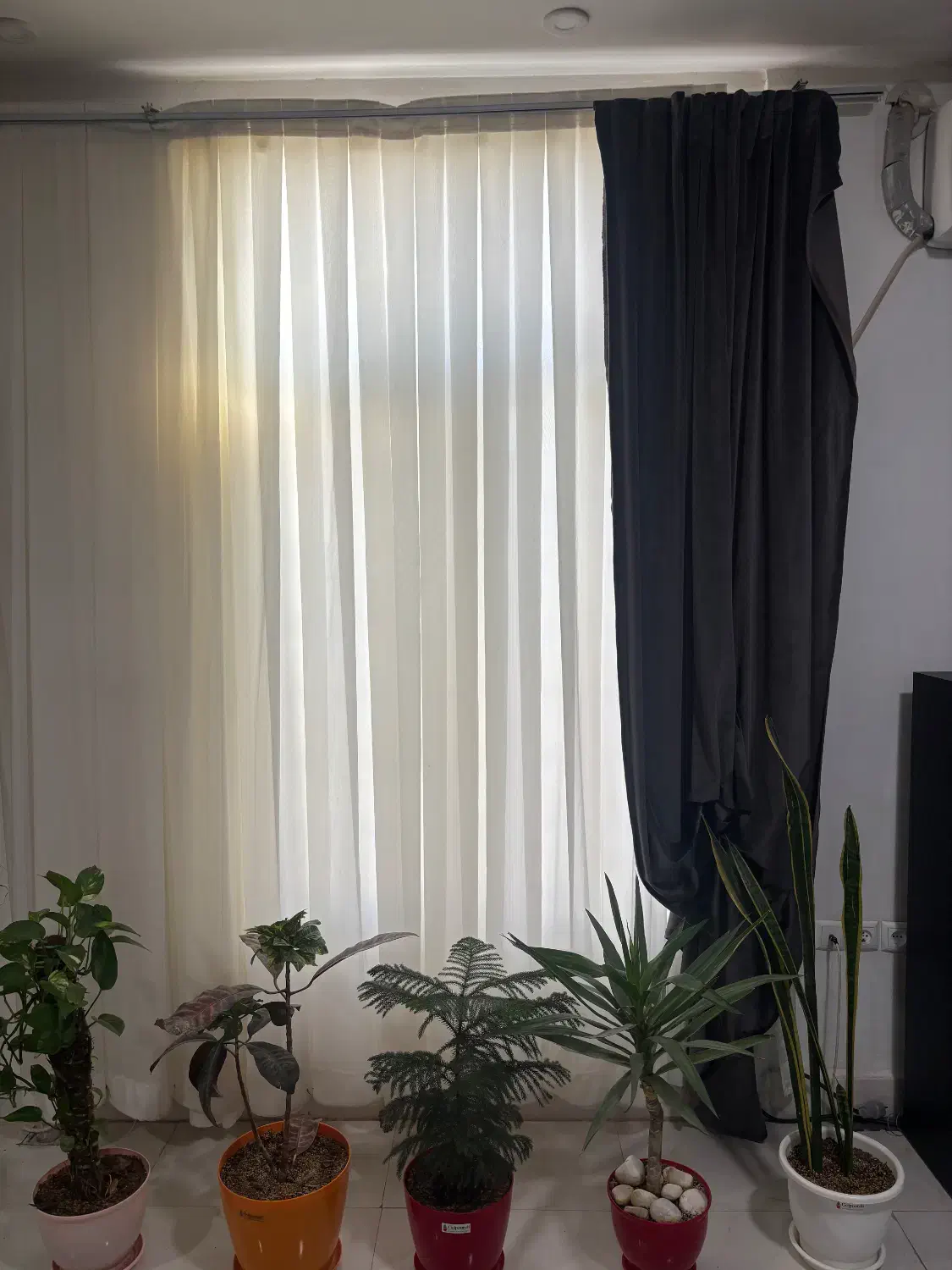 پرده|پرده، رانر، رومیزی|سیرجان, |دیوار