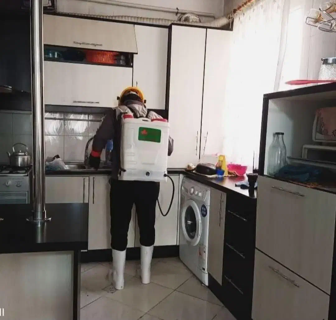 سمپاشی تضمینی٪ ساس سوسک موریانه کنه موش سم پاشی|خدمات نظافت|مشهد, طلاب|دیوار