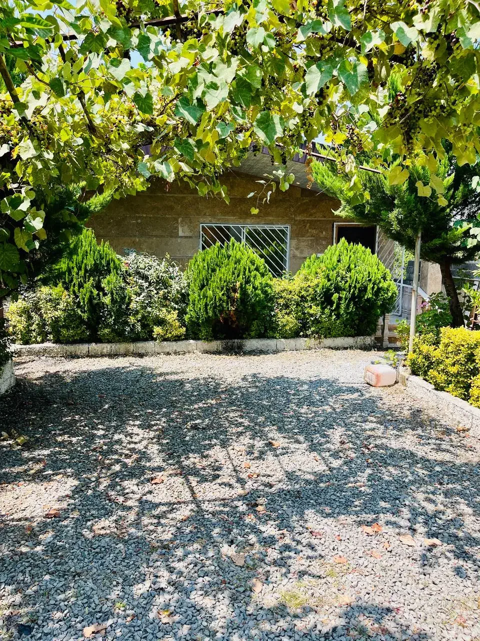 ویلا تو دل جنگل میخوای فقط کافیه بهم زنگ بزنی|فروش خانه و ویلا|محمودآباد, |دیوار