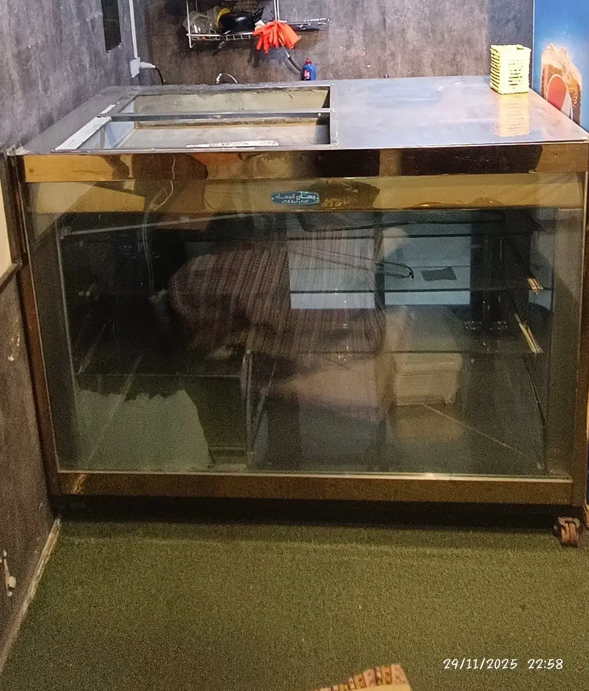 یخچال ویترینی|فروشگاه و مغازه|مشهد, یوسفیه (شهرک غرب)|دیوار