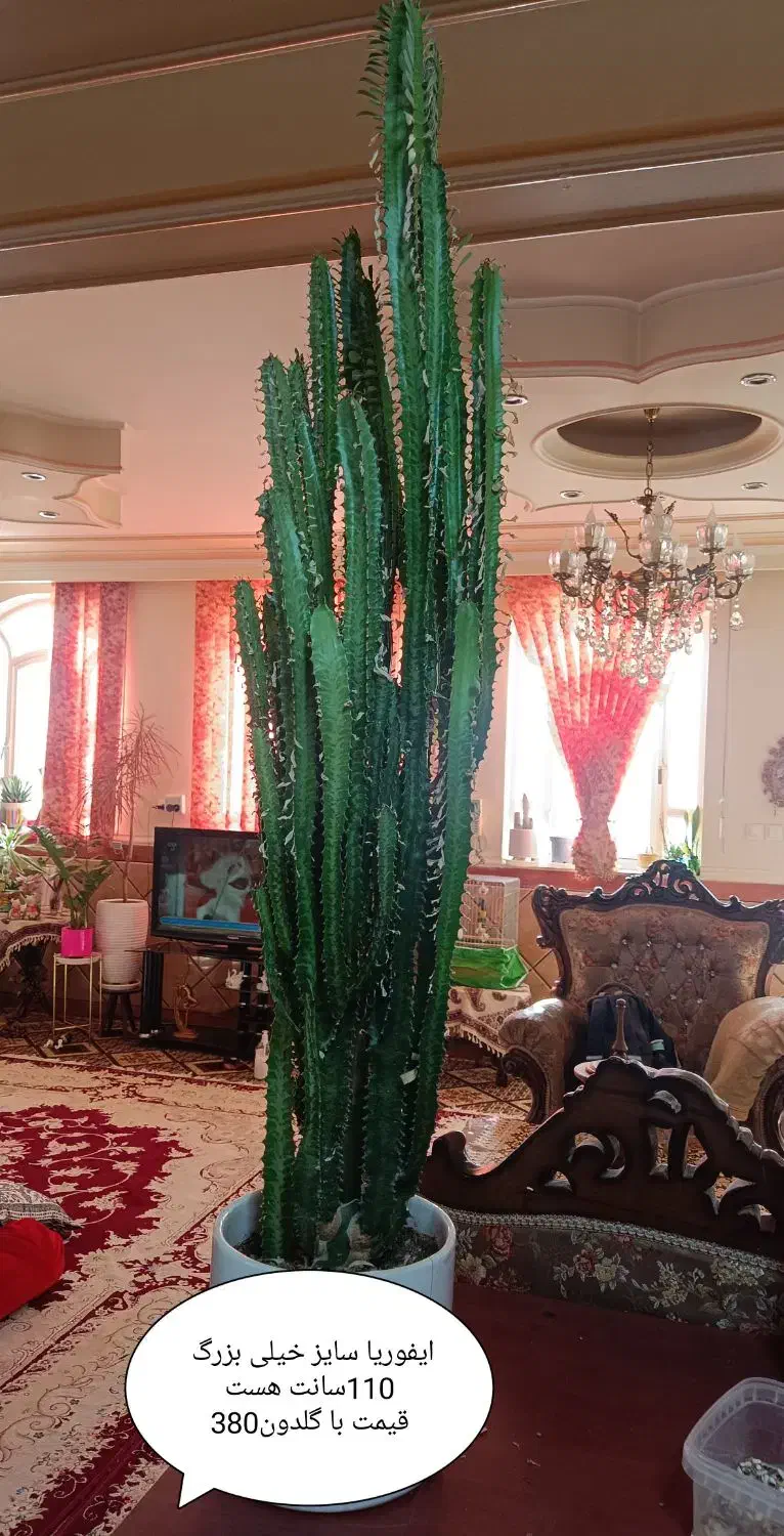 اسباب بازی|اسباب‌‌بازی|بروجرد, |دیوار