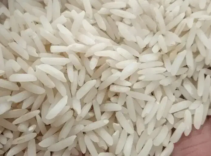 (هاشمی به صورت عمده)|عمدهفروشی|زنجان, |دیوار