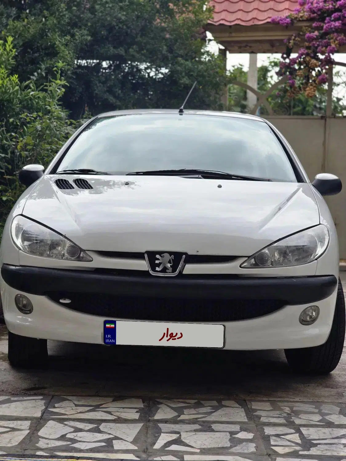 206 sd v8|خودرو سواری و وانت|فیروزکوه, |دیوار