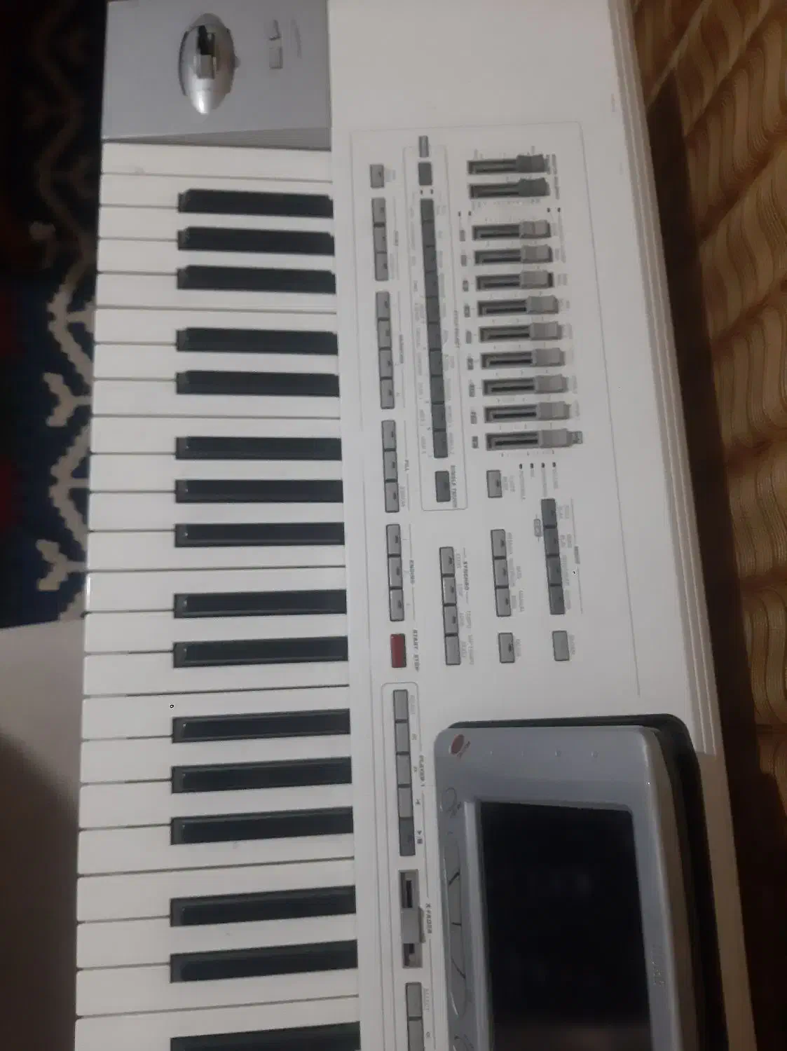 کرگ pa2|پیانو، کیبورد، آکاردئون|پارس‌آباد, |دیوار