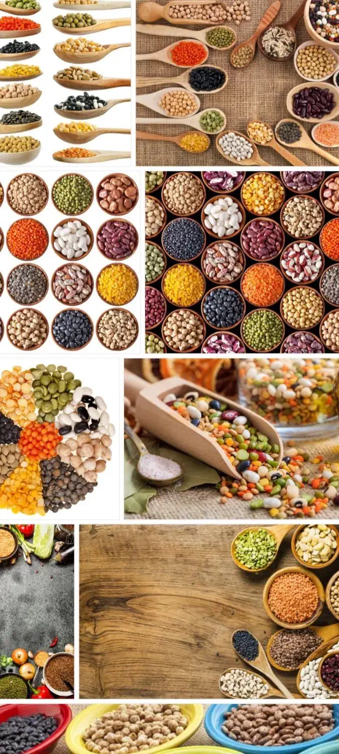 خرید و فروش انواع حبوبات لوبیا عدس نخود چیتی ماش|عمده‌فروشی|تهران, زعفرانیه|دیوار