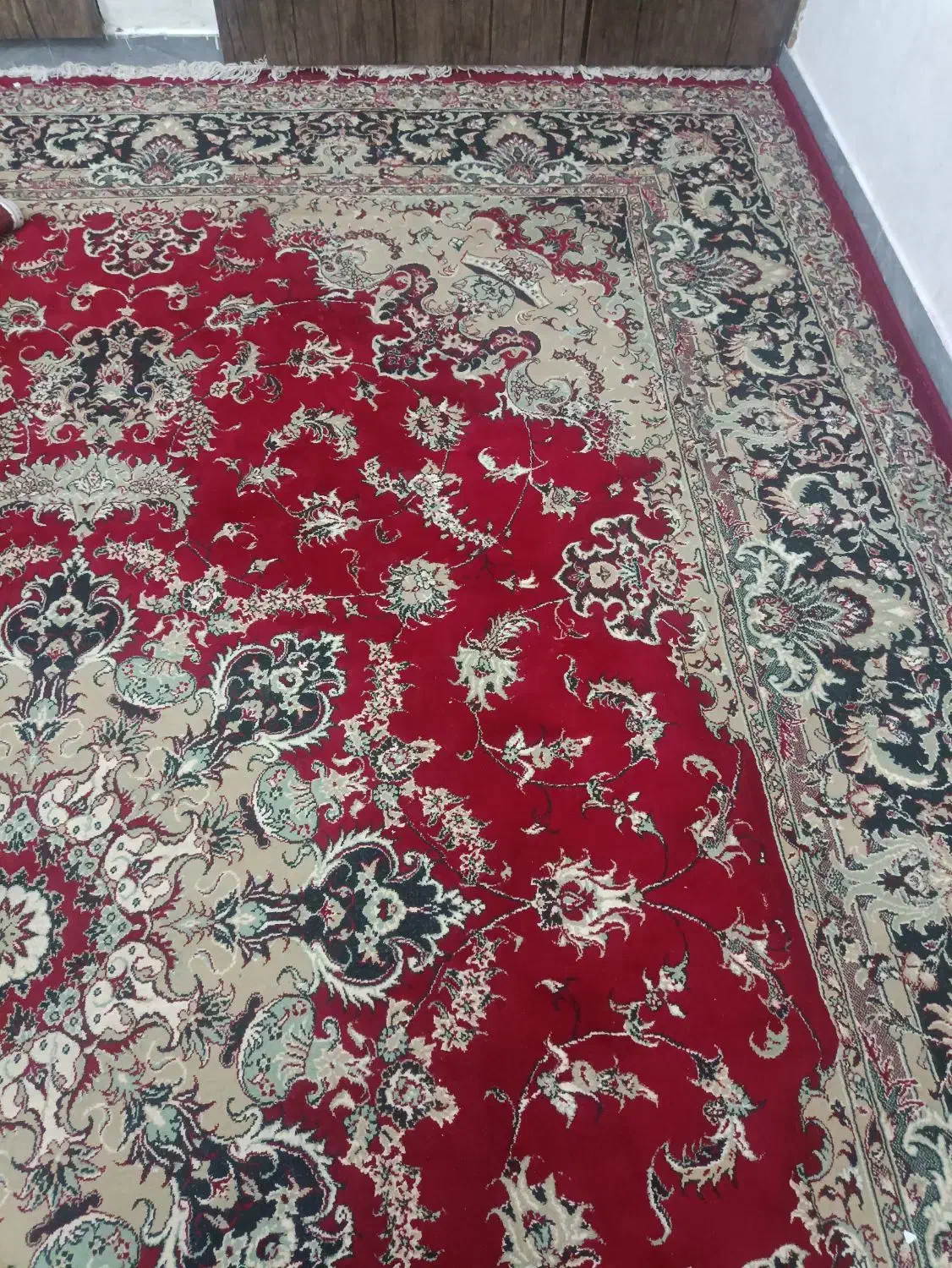 فرش ۱۲ متری|فرش|زاهدان, |دیوار