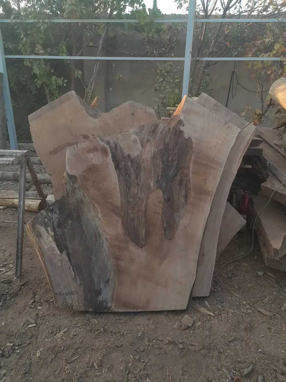 سوپر اسلبهای یک تیکه چوب گردو درسایزهای مختل|عمده‌فروشی|شیراز, گویم|دیوار