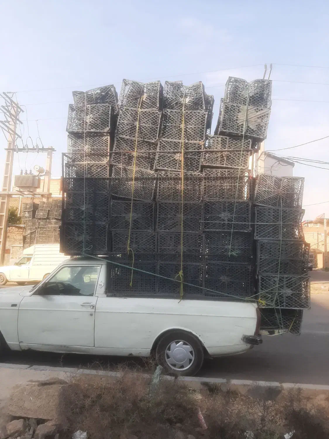 سبدمیوه. کارتن|عمدهفروشی|کرج, خرمدشت|دیوار