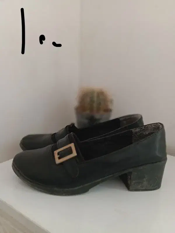 کفش اسپرت|کیف، کفش، کمربند|بیرجند, |دیوار