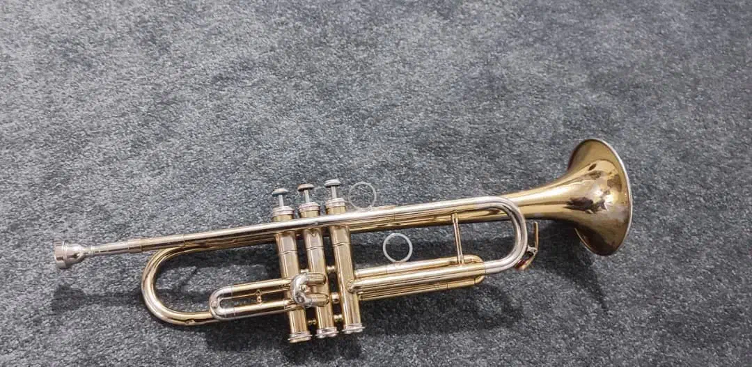 ترومپت|سازهای بادی|فسا, |دیوار