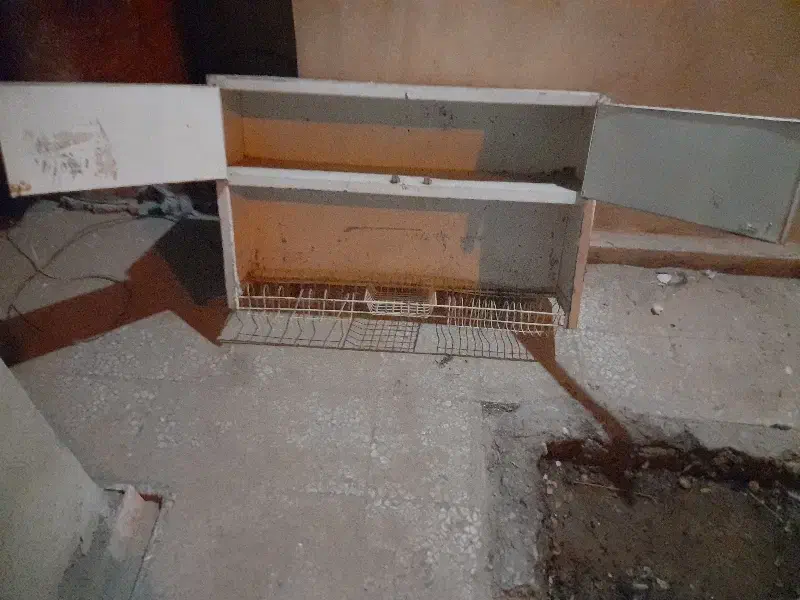 سلام آبچکان سالم وتضمینی بدون پوسیدگی فروشی|آب‌چکان و نظم‌دهنده ظروف|زابل, |دیوار