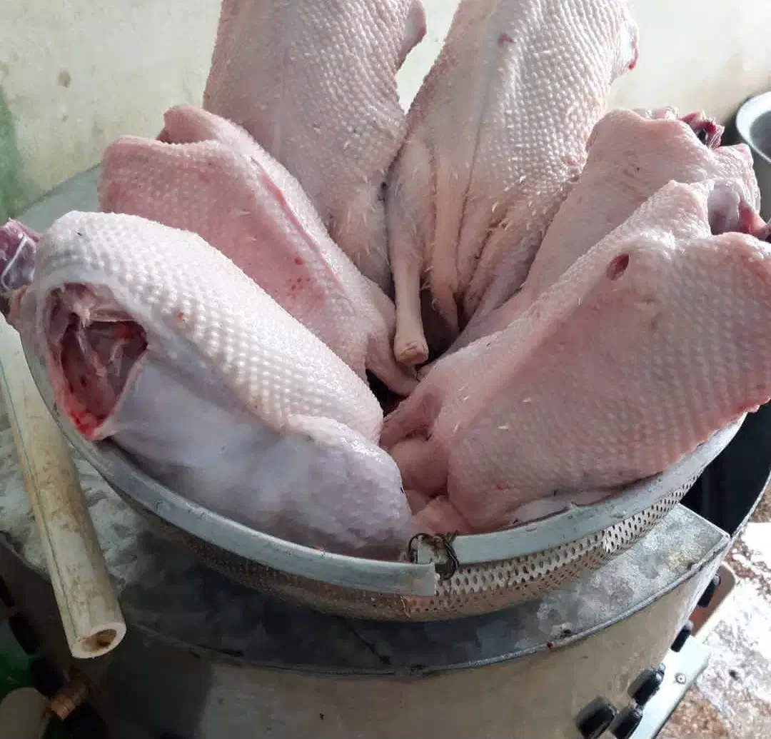 محصولات محلی|خوردنی و آشامیدنی|رشت, بوسار|دیوار