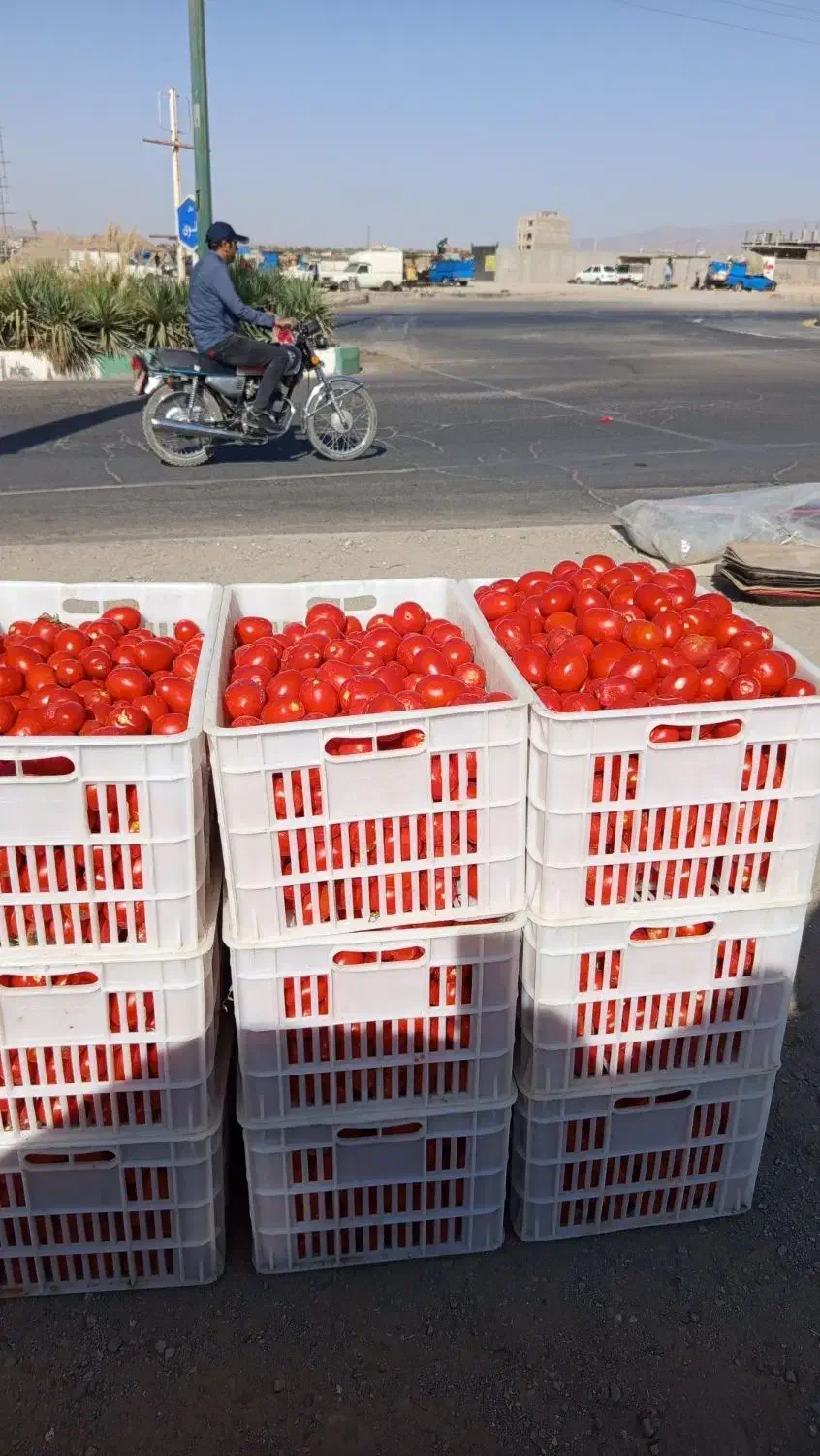 سبد 25کیلویی در حد نو|ظروف نگهدارنده، پلاستیکی، یکبارمصرف|همدان, |دیوار